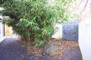 Photo 55- click for photo gallery